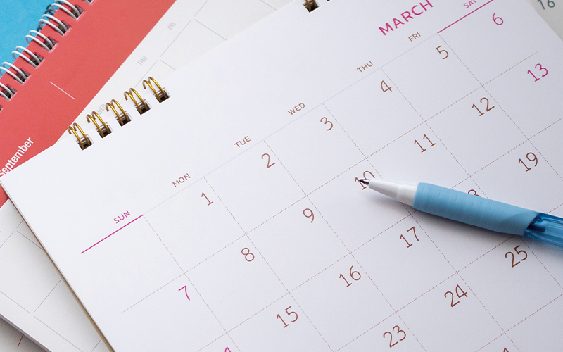 면역항암제보험 가입 시기